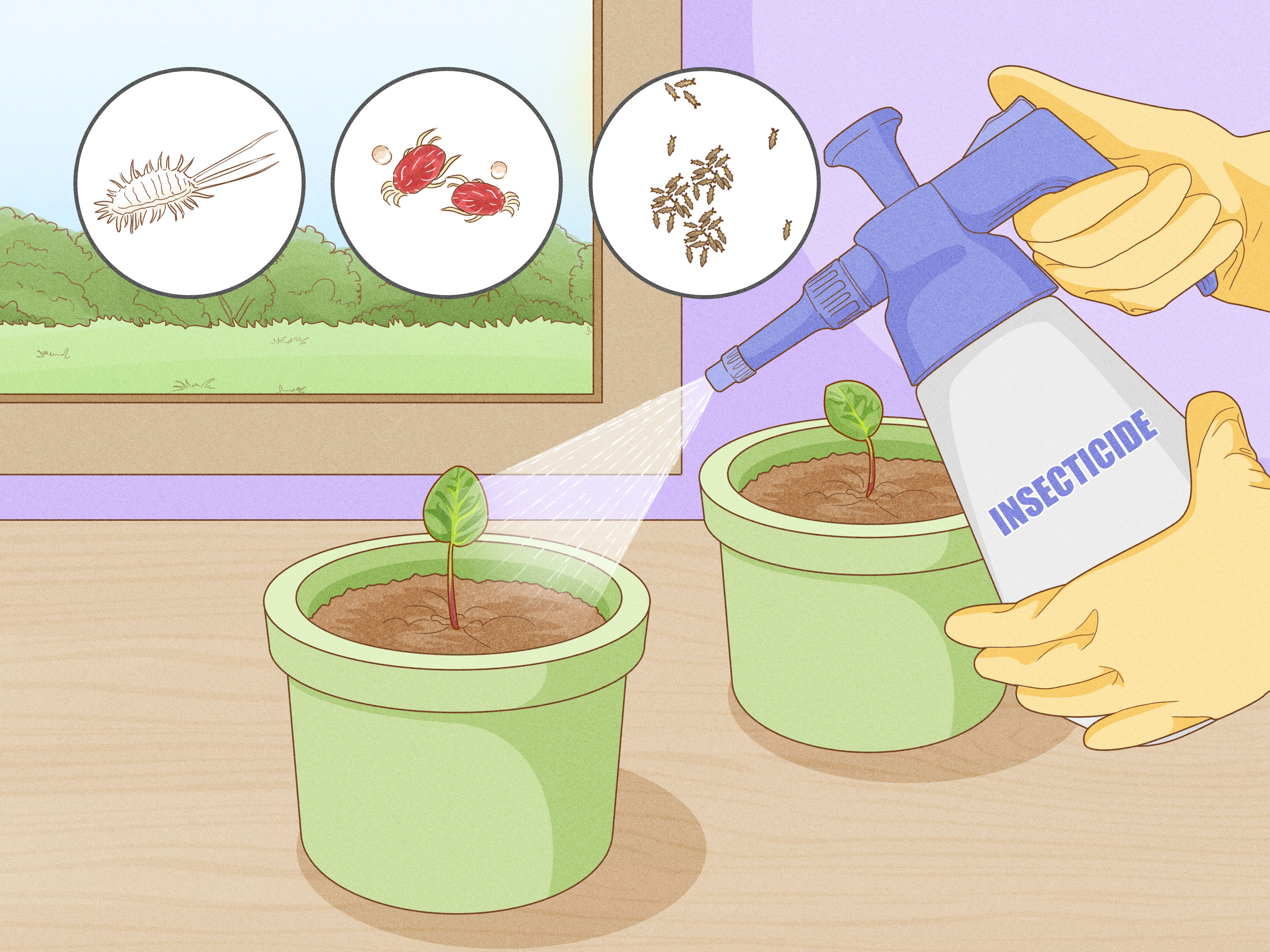 Grow African Violets from Cuttings: A Step-by-Step Guide